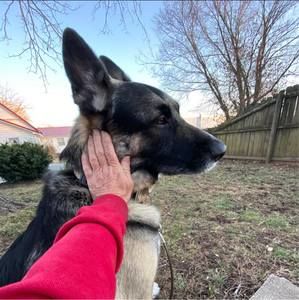 Meet your Posher, Tracy